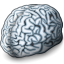 brain